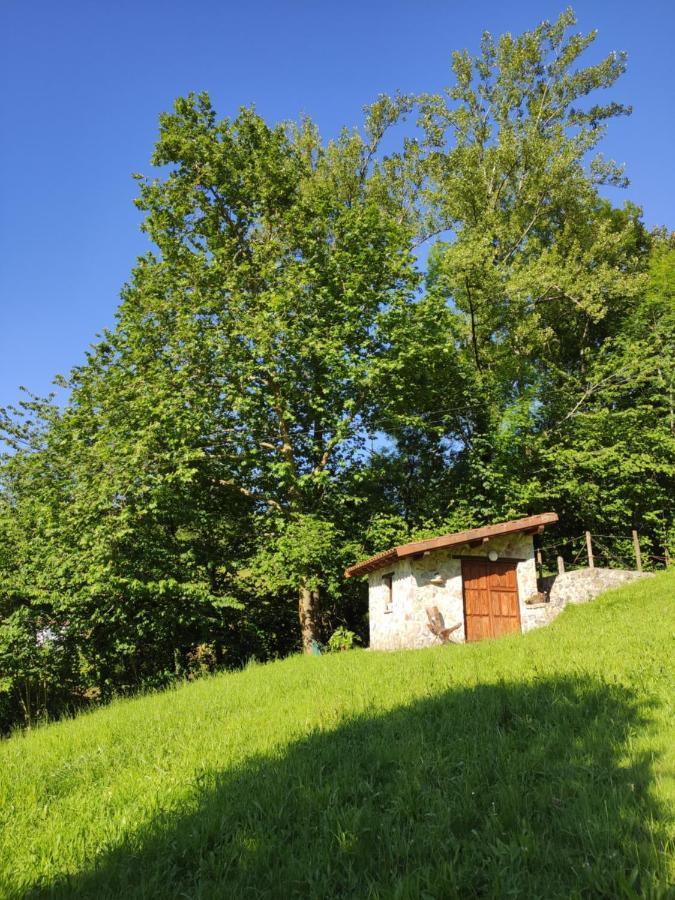 Apartamentos Rurales La Caviana Cangas de Onis Bagian luar foto