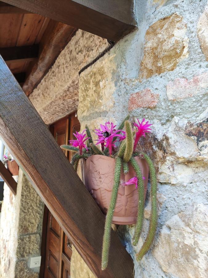 Apartamentos Rurales La Caviana Cangas de Onis Bagian luar foto