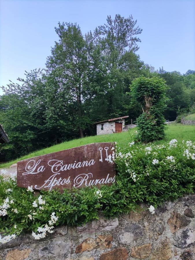 Apartamentos Rurales La Caviana Cangas de Onis Bagian luar foto