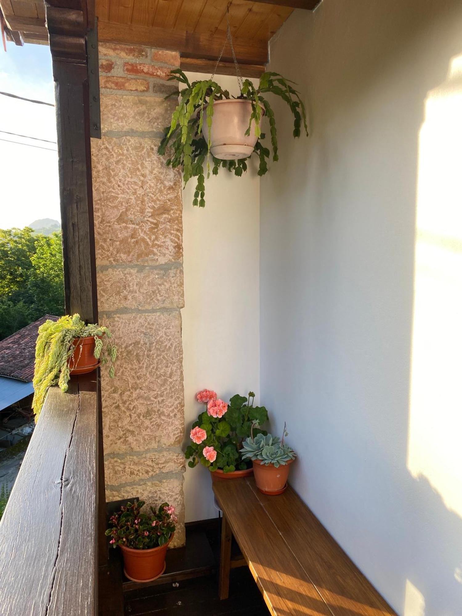 Apartamentos Rurales La Caviana Cangas de Onis Bagian luar foto