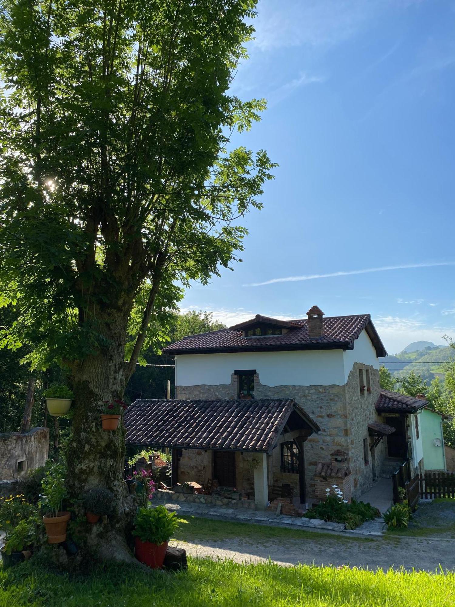 Apartamentos Rurales La Caviana Cangas de Onis Bagian luar foto