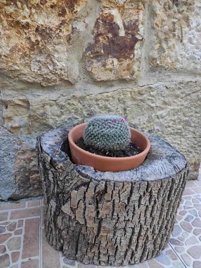 Apartamentos Rurales La Caviana Cangas de Onis Bagian luar foto